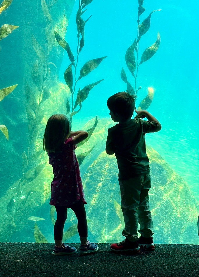 Michael’s niece and nephew exploring an aquarium together